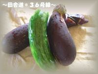 収穫。。。