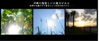 陽射しの魔力 2006/07/06 14:18:53