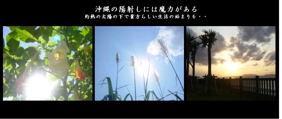 陽射しの魔力