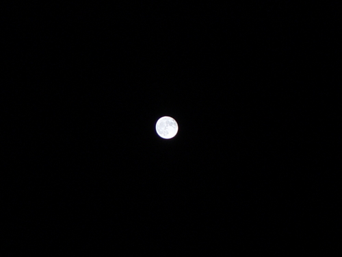秋の夜♪
