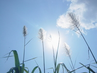 晴天曜日☆ 2006/03/06 17:12:00