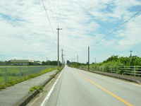 駆け抜けた 2006/06/29 11:25:00