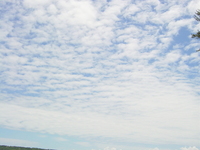 うろこ雲 2006/06/07 15:45:38