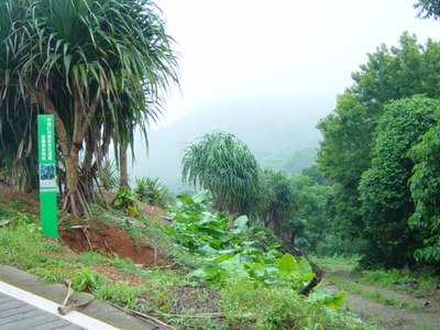 今帰仁村歴史文化遺産景観保全地区