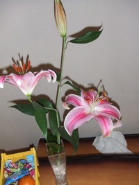 華 2006/09/16 11:15:38