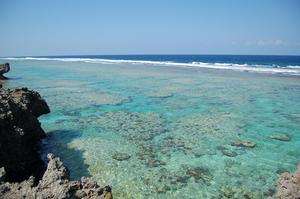 沖縄の中心で愛を叫ぶ
