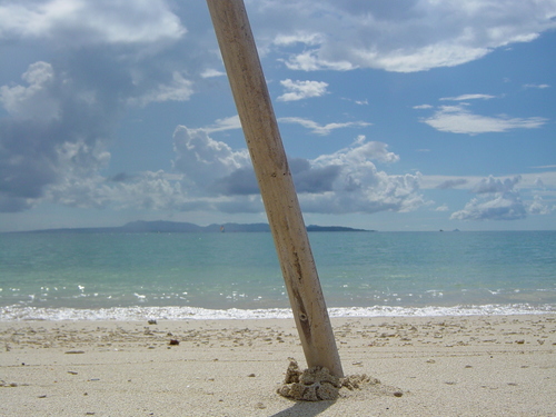 真夏の海に恋をした