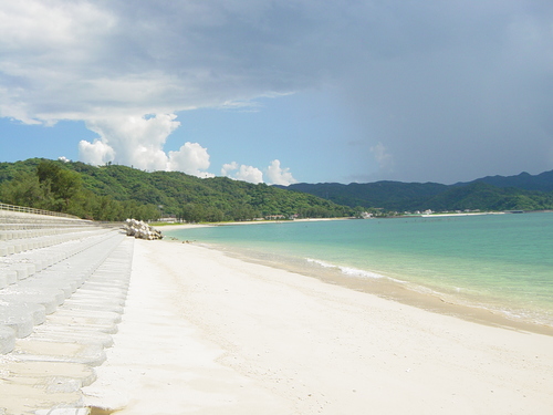 真夏の海に恋をした