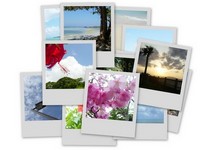 沖縄の写真☆ 2006/05/31 22:33:54