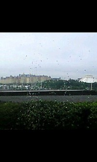 雨… 2008/08/29 08:48:53