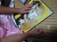 おぼん 2008/08/16 01:23:17