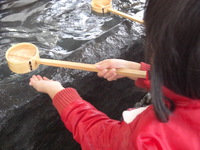 初詣 2009/01/03 00:20:11
