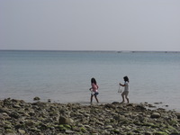 海遊び 2009/02/11 21:16:51
