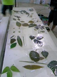 雨の為、活動変更して 2012/05/02 11:58:28