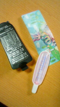 こんな物入ってました〜 2009/01/08 12:15:17