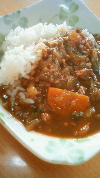 スタミナカレー☆レバー、ごーやー、へちま入り 2009/08/09 01:57:27