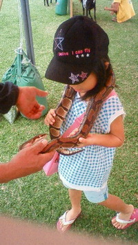 沖縄市福祉まつり 2009/10/05 14:38:59