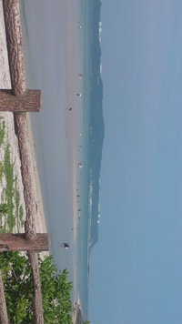 海水浴 2016/04/30 14:59:49