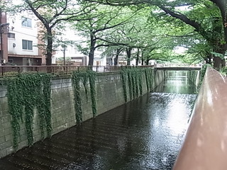 東京女子会。