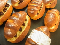 イベント出店のお知らせ。 2015/07/29 13:45:45