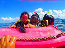 泣く子も黙る石垣島の熱帯魚