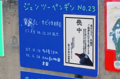 ぺんぎん館５