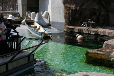 あざらし館２３