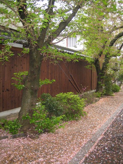 今井町１６