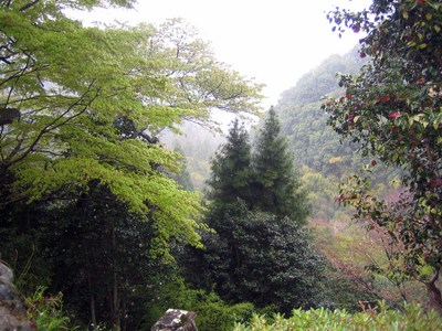 吉野１０