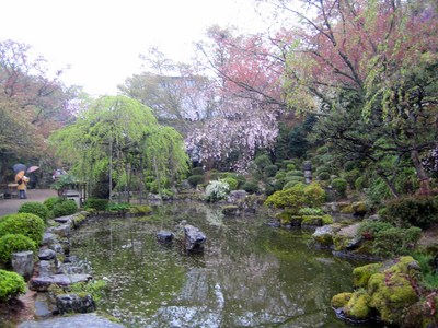 吉野１３