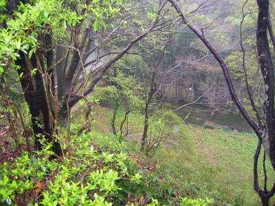 吉野１４