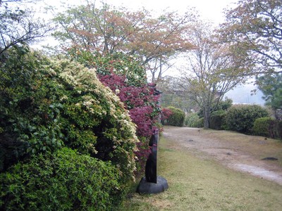 吉野１６
