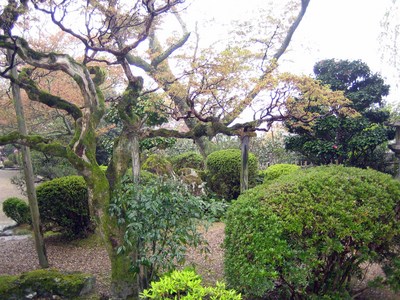 吉野４