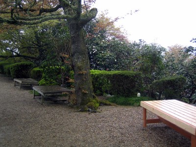 吉野５