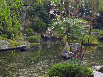 吉野８