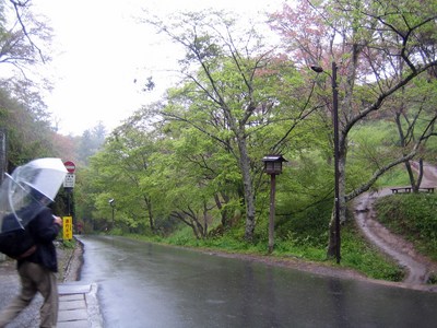 吉野２８