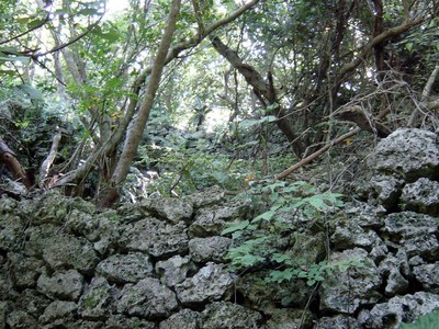 志喜屋グスク