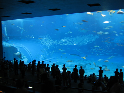 水族館　３