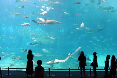 水族館　４
