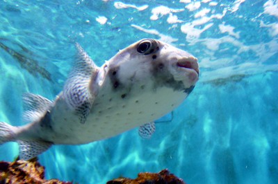 水族館