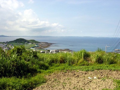 知念