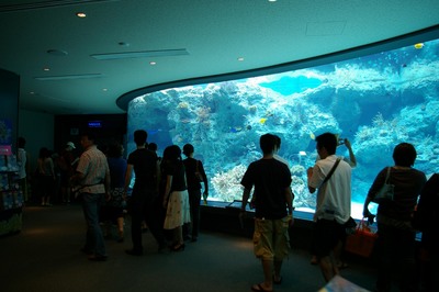 美ら海水族館1