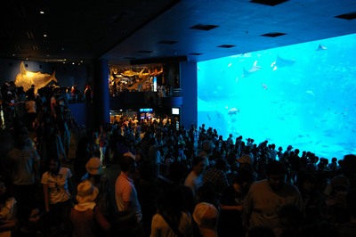 美ら海水族館22
