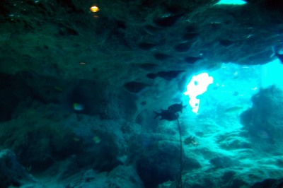 美ら海水族館6