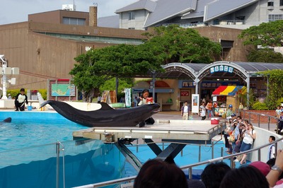 美ら海水族館67