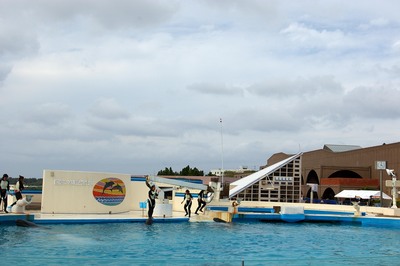 美ら海水族館69
