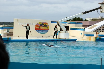 美ら海水族館70