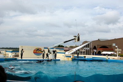 美ら海水族館71