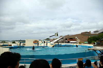 美ら海水族館72