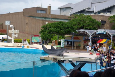 美ら海水族館75